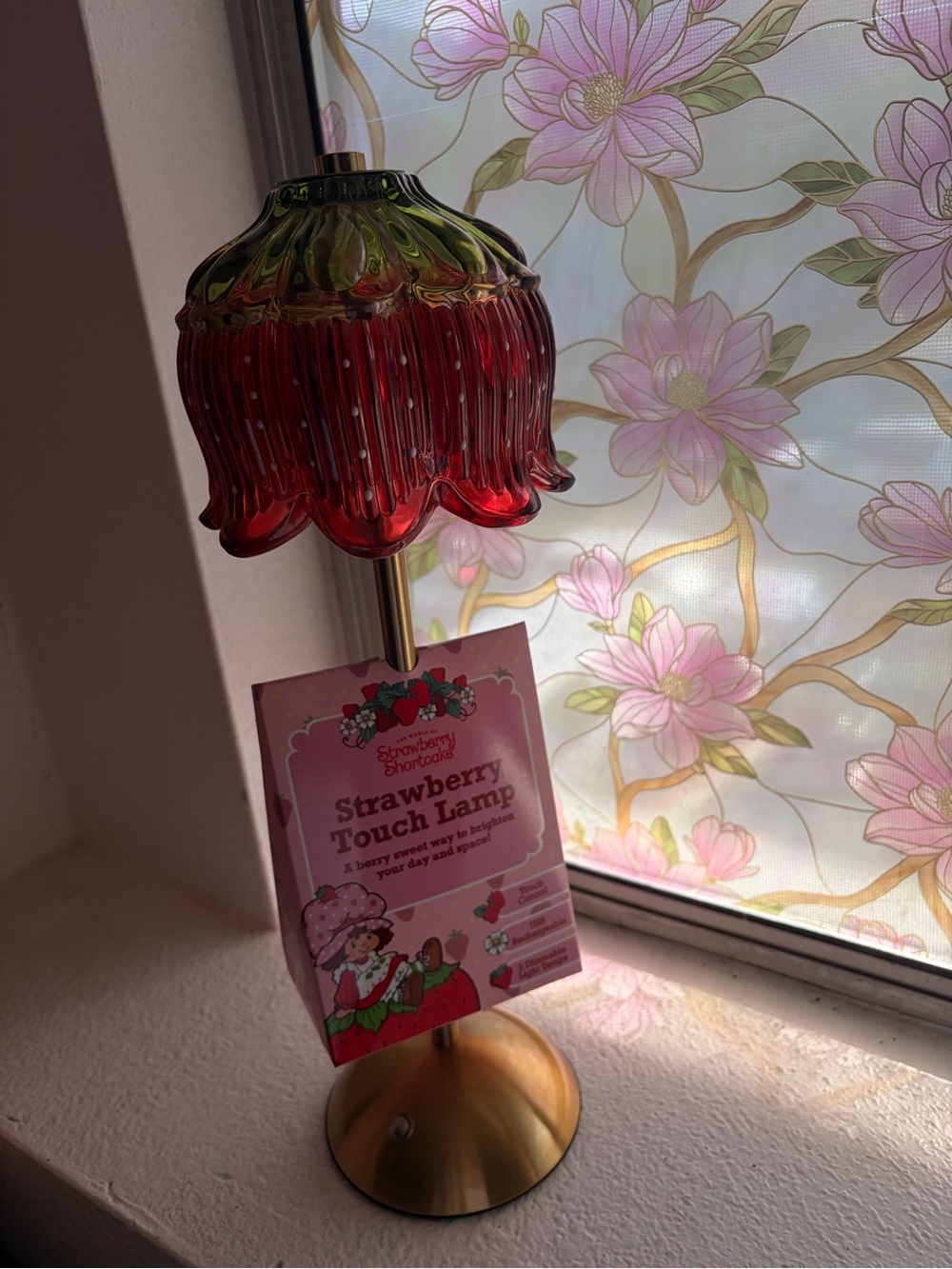 Strawberry Shortcake Touch Lamp - Glass Shade USB Rechargeable Dimmable NWT